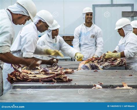 Elaboraci N De La Carne En La Industria Alimentaria Fotograf A