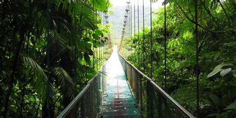 The Best Canopy Hanging Bridges in Costa Rica