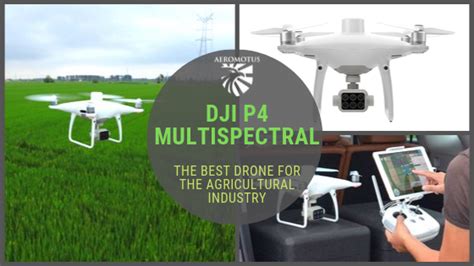 Dji P4 Multispectral The Best Drone For The Agricultural Industry Aeromotus Agriculture