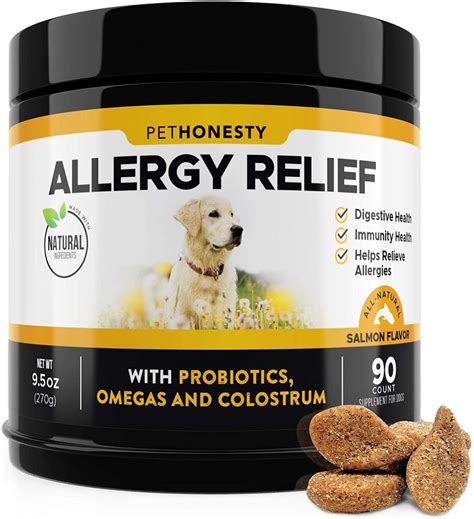 Apoquel Drug: What is the Alternatives?