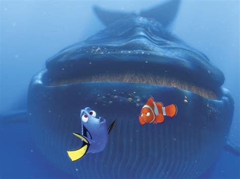 Finding Nemo Wallpapers Wallpaper Cave