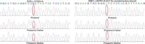 Frontiers Next Generation Sequencing Revealed Disease Causing