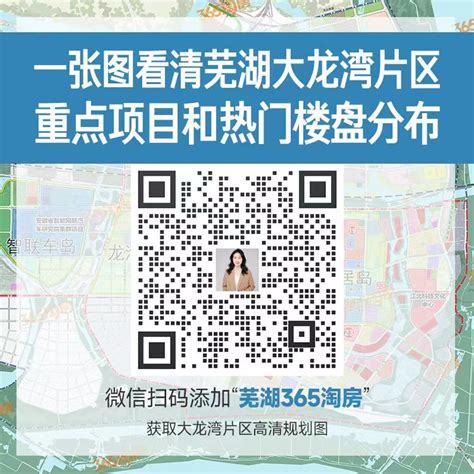 绿城服务联合大龙湾控股于芜湖共设科技服务公司 前者持股49 芜湖365淘房