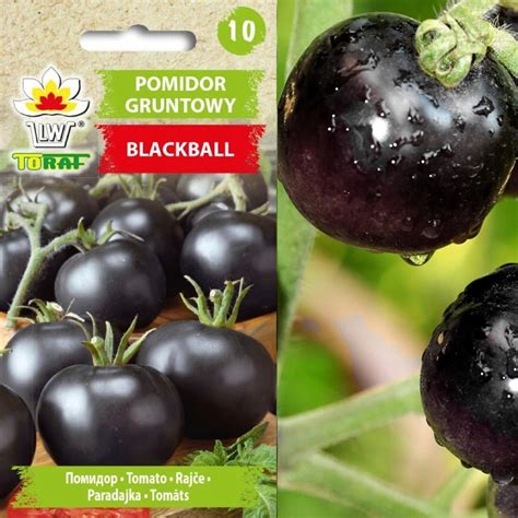 Pomidor Gruntowy Blackball Nasiona Warzyw Plenne 1154 Cena Opinie