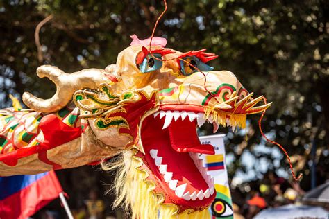 Los mejores Paquetes Turísticos a Colombia Despegar