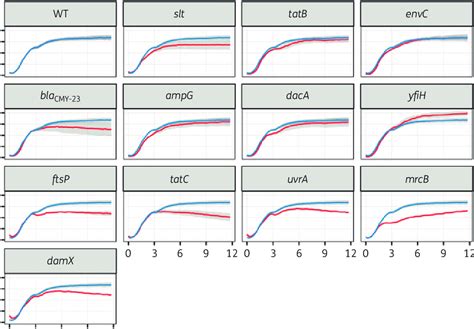 Growth Curves Of Isogenic Mutants For Genes Identified By Tradis