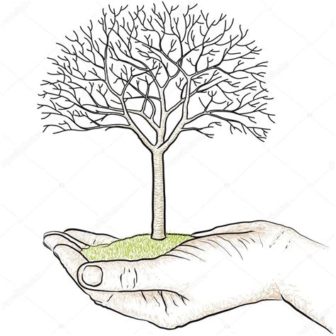 Hand holding a tree — Stock Vector © robodread #22056593