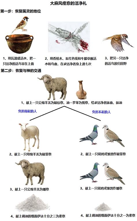 利未记第14章逐节注解、祷读 圣经综合解读