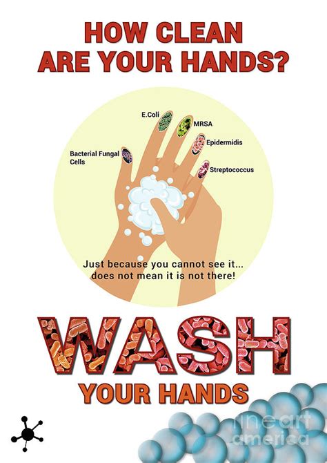 Hand Hygiene Poster – Goresan