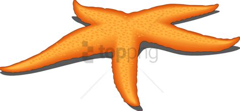 Starfish Png Pic Png Mart