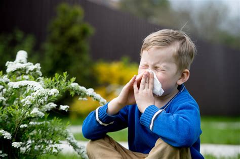 Allergie Bei Kindern Ursachen Symptome Und Behandlungsm Glichkeiten