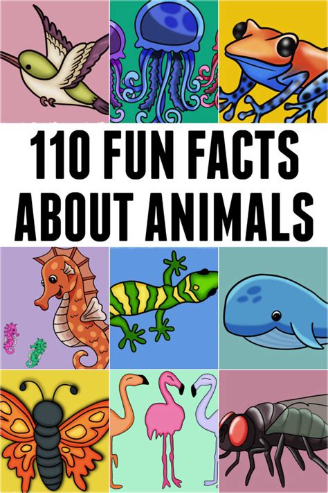 110 Fascinating and Fun Facts About Animals