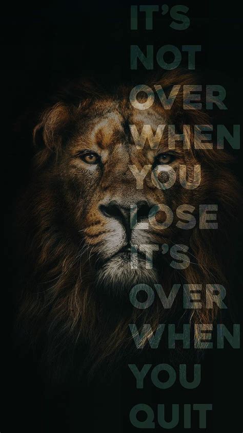 Top Lion Quotes Images Amazing Collection Lion Quotes Images Full K