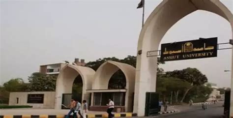 المدينة الجامعية شبابيك