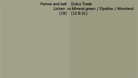 Farrow And Ball Lichen 19 Vs Dulux Trade Mineral Green Opaline Moorland 12 B 21 Side By