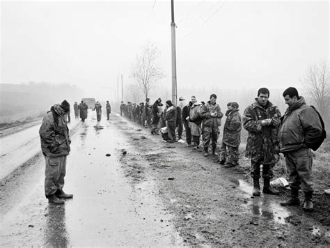 chechen war  war wings daily