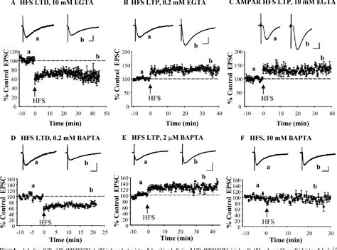 Figure From Long Term Depression Of Nmda Receptor Mediated Synaptic