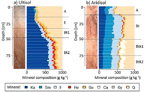 Predicted soil mineral contribution to total mineral mass for (a ...