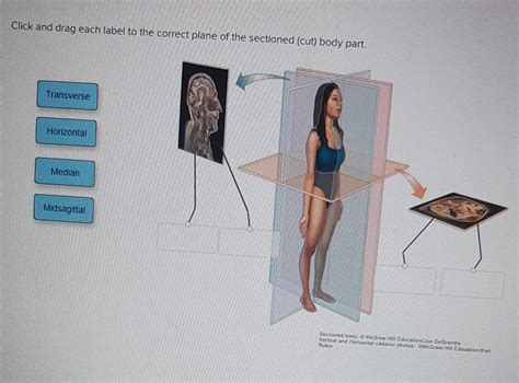 Solved Click And Drag Each Label To The Correct Plane Of The Chegg