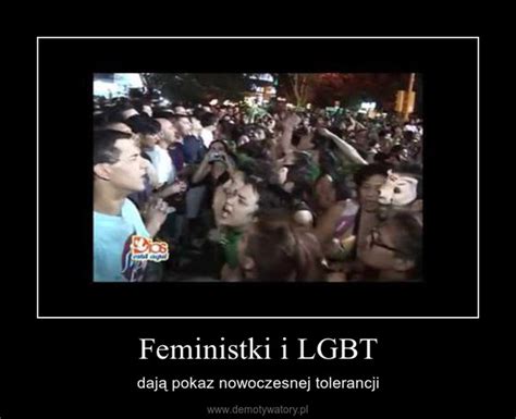 Feministki I LGBT Demotywatory Pl