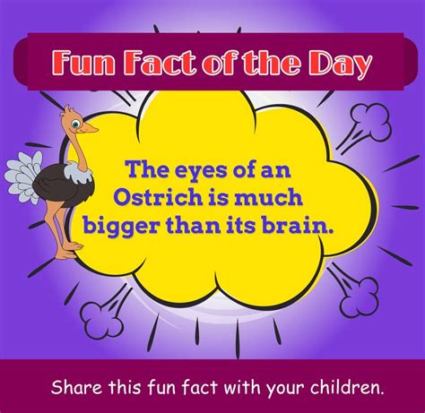 Fun Fact Of The Day Fact Of
