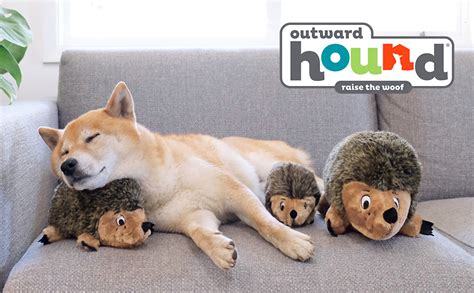 Outward Hound Hedgehogz Plush Dog Toy, Small : Amazon.ca: Pet Supplies