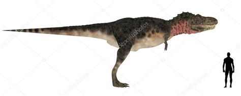 Tarbosaurus Size Comparison — Stock Photo © Chastity #11147077