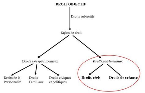 Schéma 1 Sujet de droit La distinction Créance