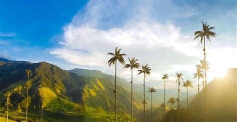 Salento and Valle de Cocora Stars of Quindío Panorama of the Americas