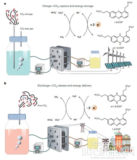 西湖大学与哈佛大学团队在基于液流电池的电化学碳捕集研究方面取得进展世纪新能源网 Century New Energy Network