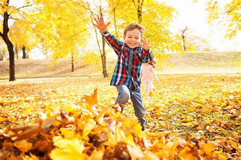 Jumping In Leaves Stock Photos, Pictures & Royalty-Free Images - iStock