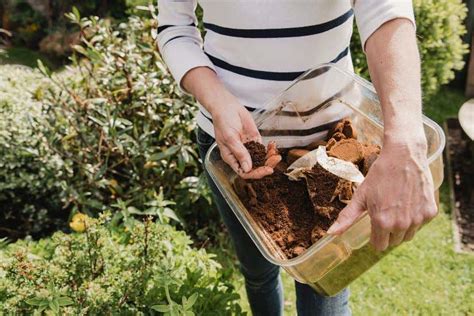 Kaffeesatz als Dünger Eine umweltfreundliche Alternative für den Garten