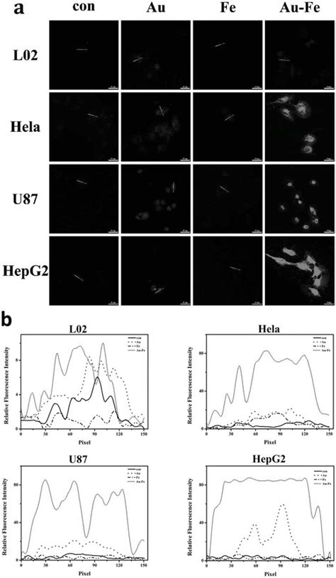 Bioimaging of cancers in vitro. a) In vitro laser confocal fluorescence ... 