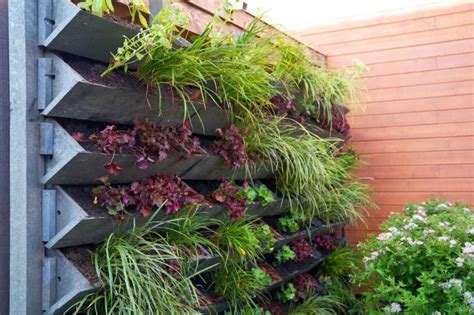 Beautiful Garden Wall Ideas: 30 Transformative Outdoor Designs
