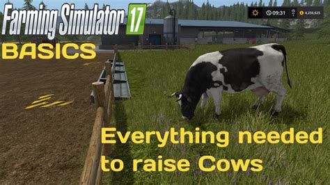 Farming Simulator Basics Cows All You Need To Raise Cows Youtube