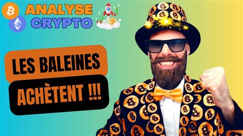 Analyse trading BITCOIN ETHEREUM LES BALEINES ACHÈTENT FORTEMENT