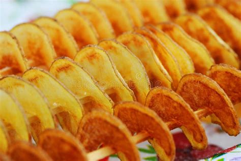 Spiral Potato Fried Twist Potato Modern Spiral Potato Fried Style