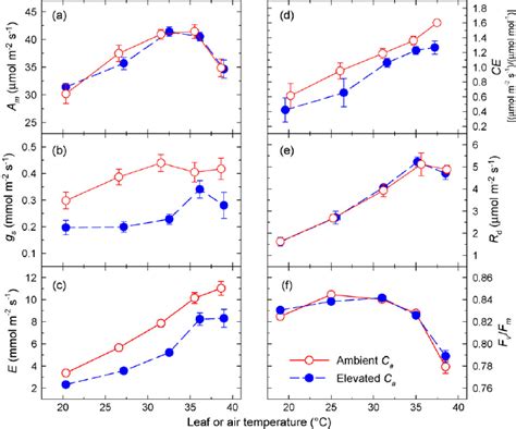 Leaf Gas Exchange Parameters Measured Dap And Chlorophyll