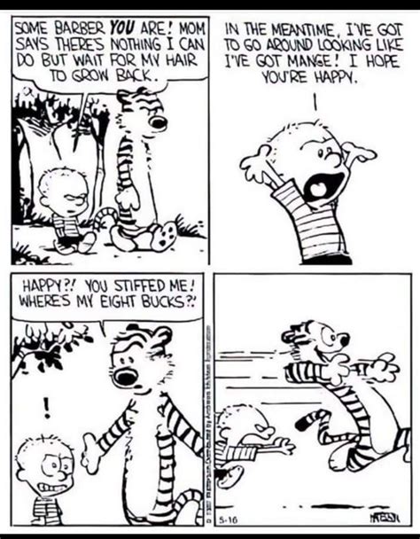 15 Times Calvin And Hobbes Spoke Nothing But The Truth About Life Artofit