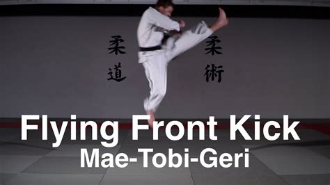 Flying Front Kick Mae Tobi Geri Youtube