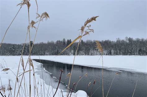 Minnesota's Weather Outlook for Early Part of Winter