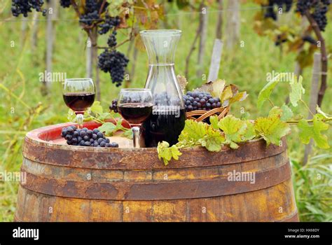 Vasos y una botella de vino tinto en viña Fotografía de stock Alamy