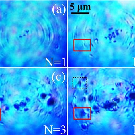 Optical Micrographs Of Laser Induced Surface Structures Observed Download Scientific Diagram