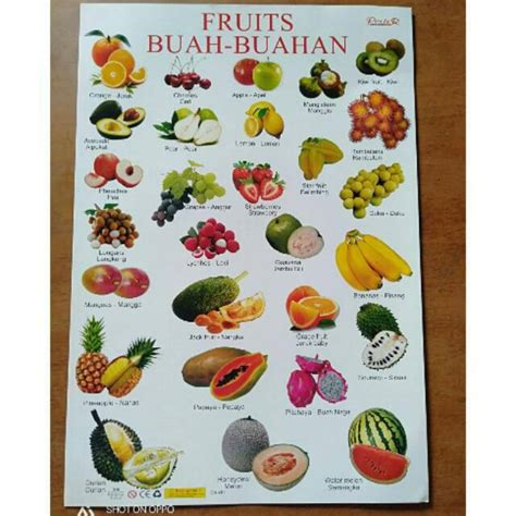 Jual Poster Edukasi Buah Buahan Fruits Shopee Indonesia