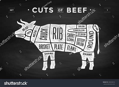 Cut Meat Set Poster Butcher Diagram Stock Vector Royalty Free 408330016