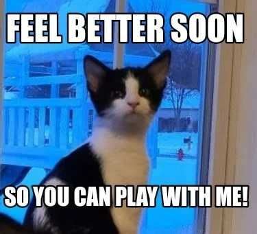 Feel Better Meme Discover more interesting Cat, Feel Better, Get Well Soon, Motivation memes ...