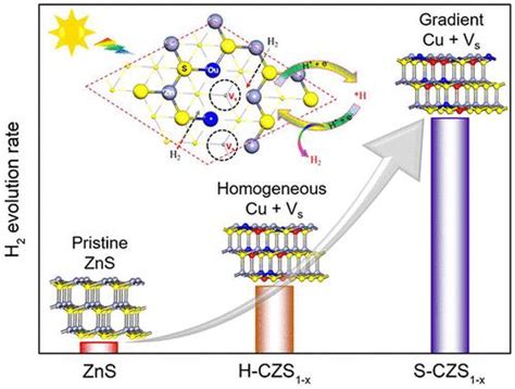 具有原子铜掺杂剂梯度分布和伴随硫空位的全谱 Zns 光催化剂，可实现高效析氢acs Nano X Mol