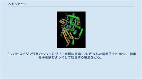 wdyq
