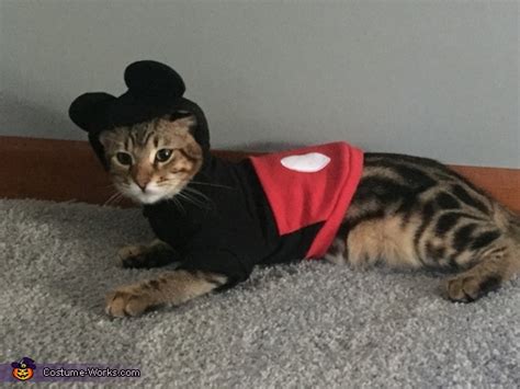 Mickey Mouse Cat Costume | Coolest Cosplay Costumes