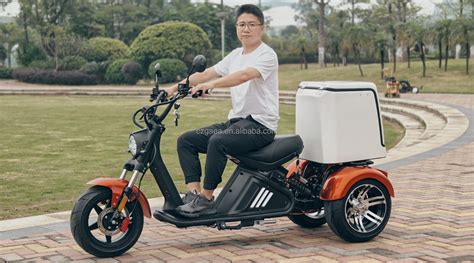 Citycoco M2 12 Inch Fat Tire Adult Electric Scooter With Removable